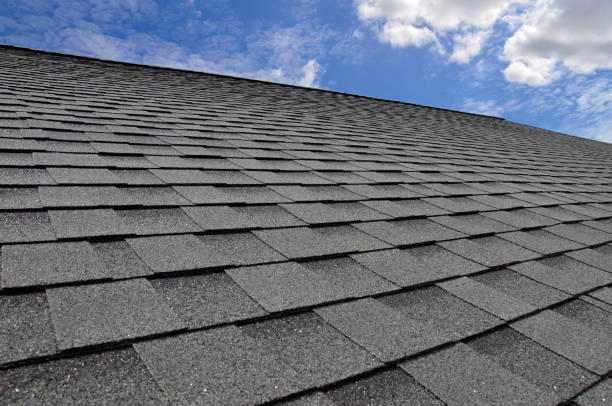 Best Roof Ventilation Installation  in Mammoth Lakes, CA